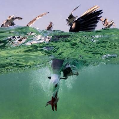 Abre-en-Guadalajara-la-exposicion-fotografica-El-Mexico-de-los-mexicanos-III-con-55-imagenes
