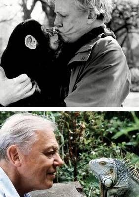 David-Attenborough-cumple-100-anos-este-8-de-mayo-de-2026