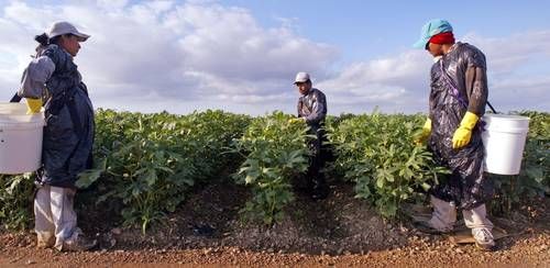 Los-38-millones-de-residentes-de-origen-mexicano-en-EU-generaron-2.27-billones-de-dolares-en-2024