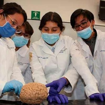 Mujeres-son-mayoria-en-Medicina-pero-siguen-subrepresentadas-en-cargos-directivos